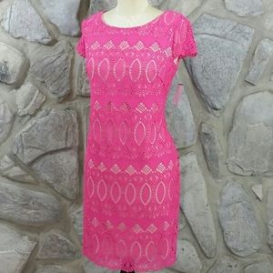 NWT Eliza J. Pink Lace Dress